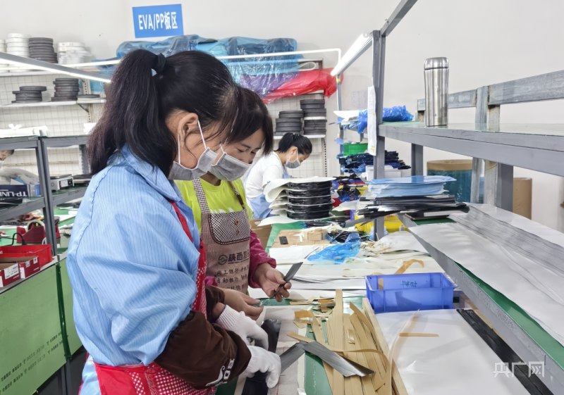 【看得见的未来·宁县④】回归经济：就业富民的宁县办法(图7)