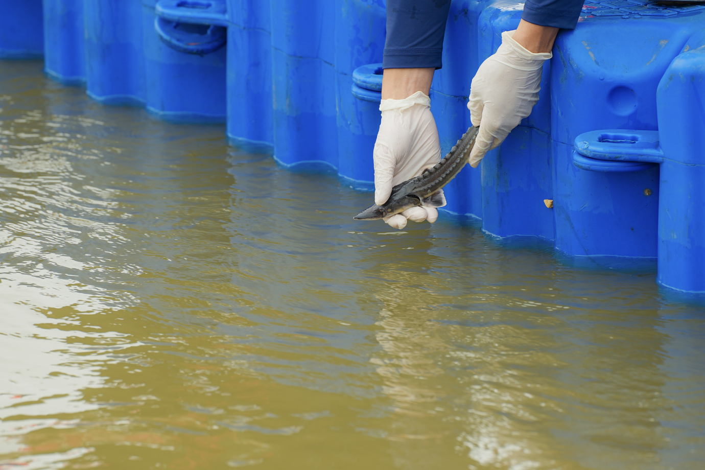 九游体育网站：阿里巴巴晒2023年度公益账单：近5亿用户参与善行拼成“全国爱心地图”(图2)
