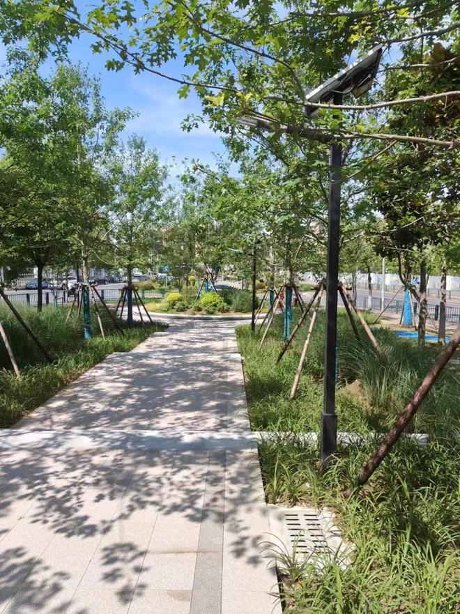 九游体育网站：休憩、散步、打篮球……闵行又有新绿地建好啦(图2)