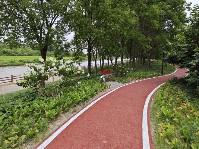 九游体育网站：休憩、散步、打篮球……闵行又有新绿地建好啦(图7)