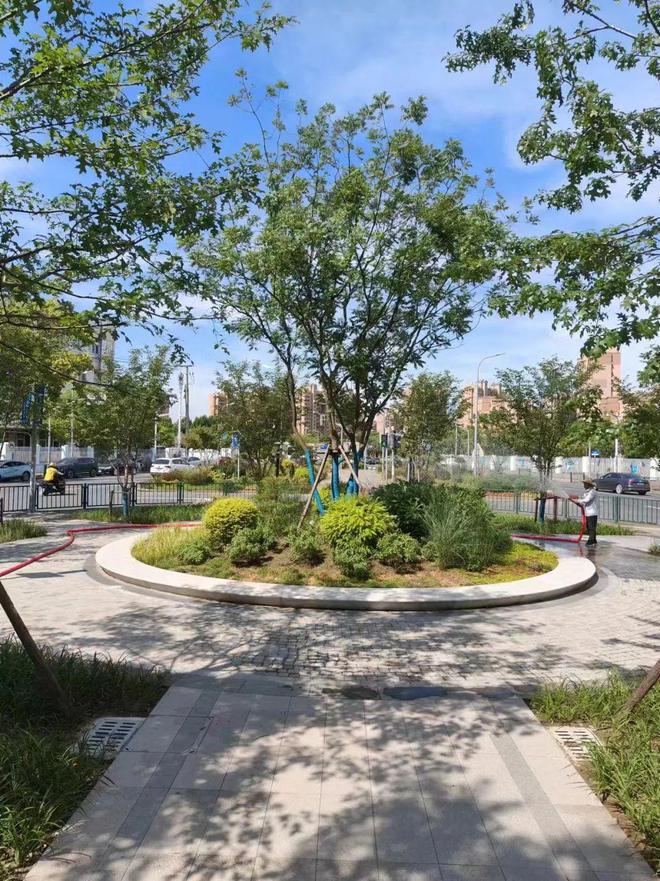 九游体育网站：休憩、散步、打篮球……闵行又有新绿地建好啦(图3)
