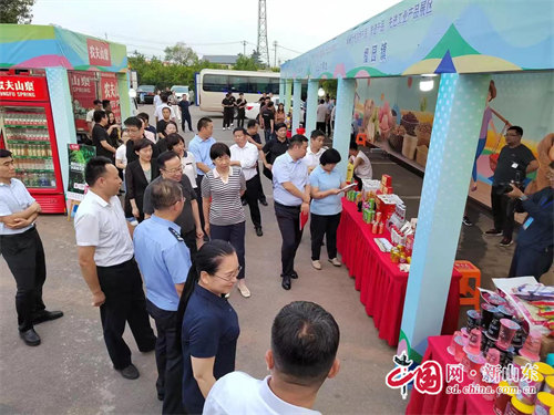 2024年山东省和美乡村篮球赛(村BA)鲁南赛区决赛在枣庄峄城举办(图7)