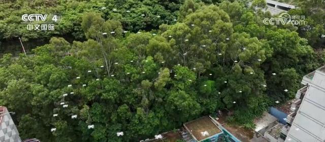 从“中国制造”到“中国智造”企业借力“赛事经济”加速“出海”(图4)