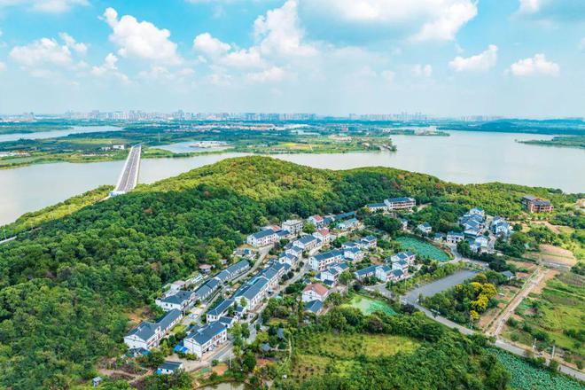 抓住暑假的小尾巴来蔡甸乡村田园慢游！(图2)