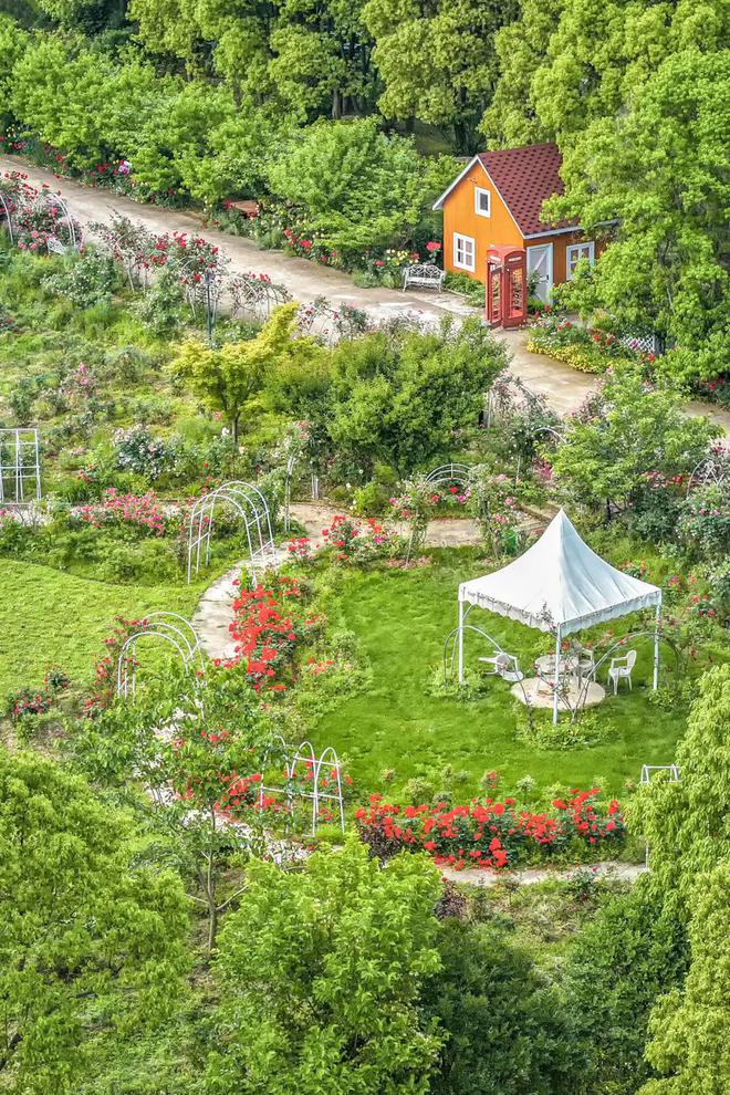 抓住暑假的小尾巴来蔡甸乡村田园慢游！(图7)