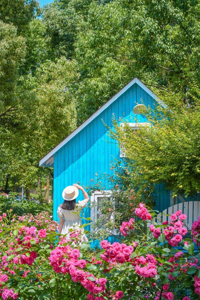 抓住暑假的小尾巴来蔡甸乡村田园慢游！(图8)