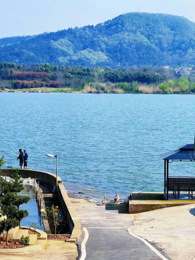 抓住暑假的小尾巴来蔡甸乡村田园慢游！(图15)