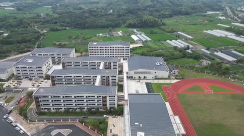 开学季新观察丨奥运会同款跑道、换躺式午睡垫……浙江中小学花样迎新(图4)