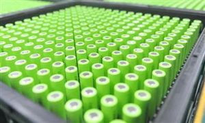 2024年体育用品行业市场发展现状及发展趋势(图2)