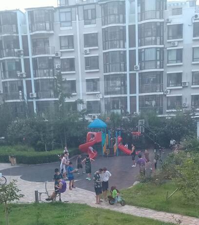 小区业主自费安装篮球架有人欢喜有人愁到底该不该安？(图2)