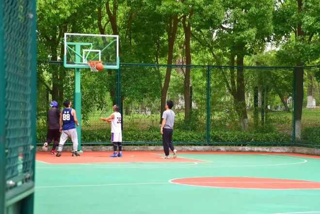 春天的脚步近了！九亭这些运动健身好去处等你来打卡(图8)