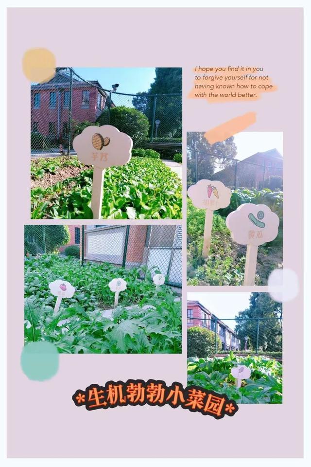 从预防到干预友好平台为青少年心理健康“护航”(图4)