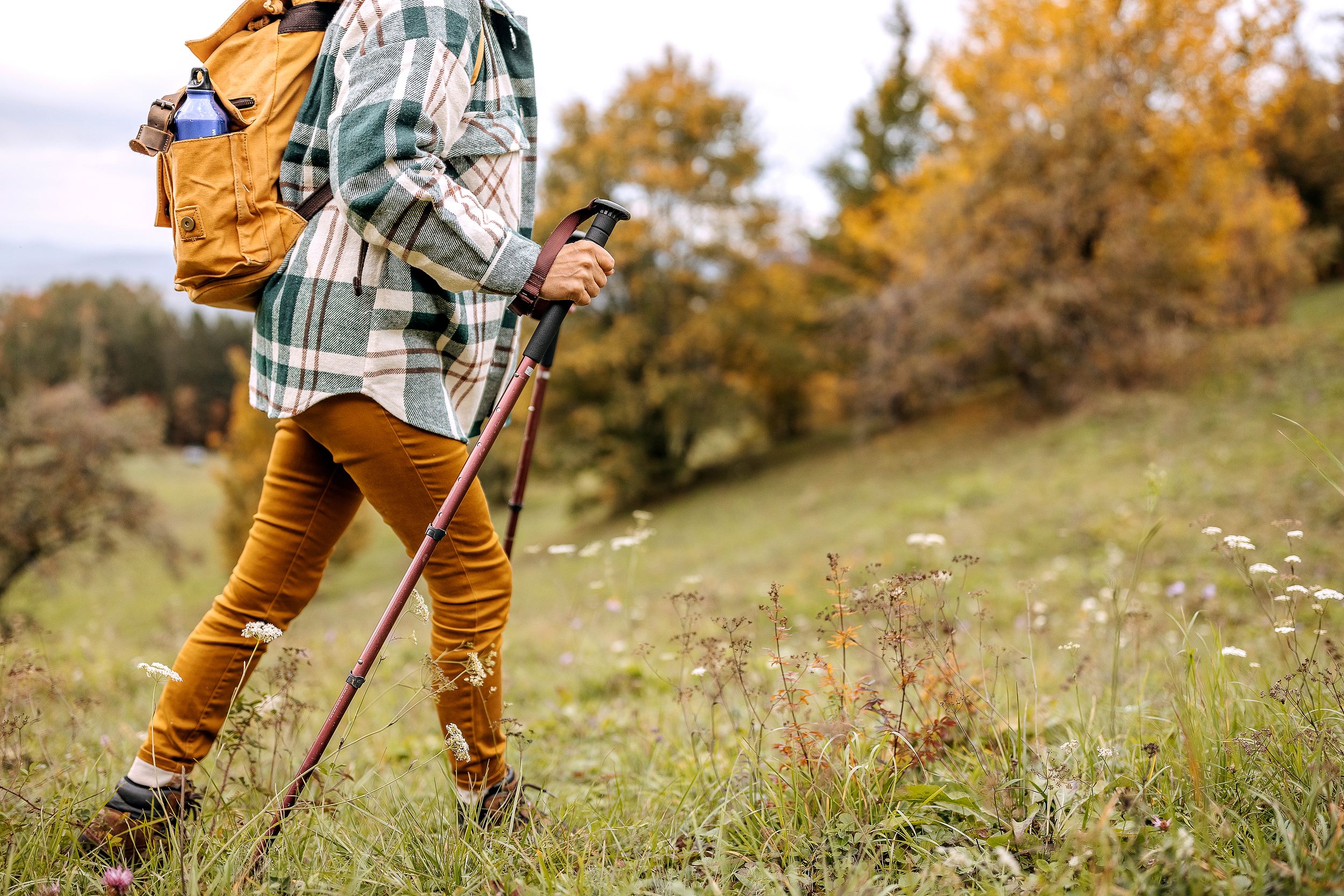 中国蓝观察丨体育热潮“停不下来”！浙企“韧性生长”两头发力(图10)