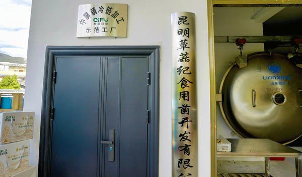 九游体育：奇富科技百万帮扶云南中屏镇：菌菇田里的振兴密码与“村BA”的双向奔赴(图4)