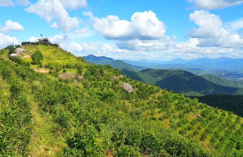 立足生态优势！惠东九龙峰上围村探索乡村振兴新路径