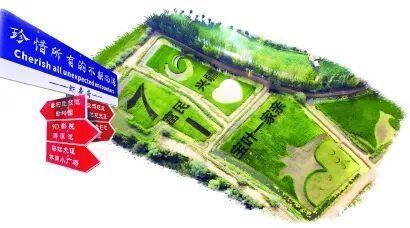 九游体育网站：媒体聚焦 新疆喀什叶城县：石榴籽抱团红“宝叶”一家亲