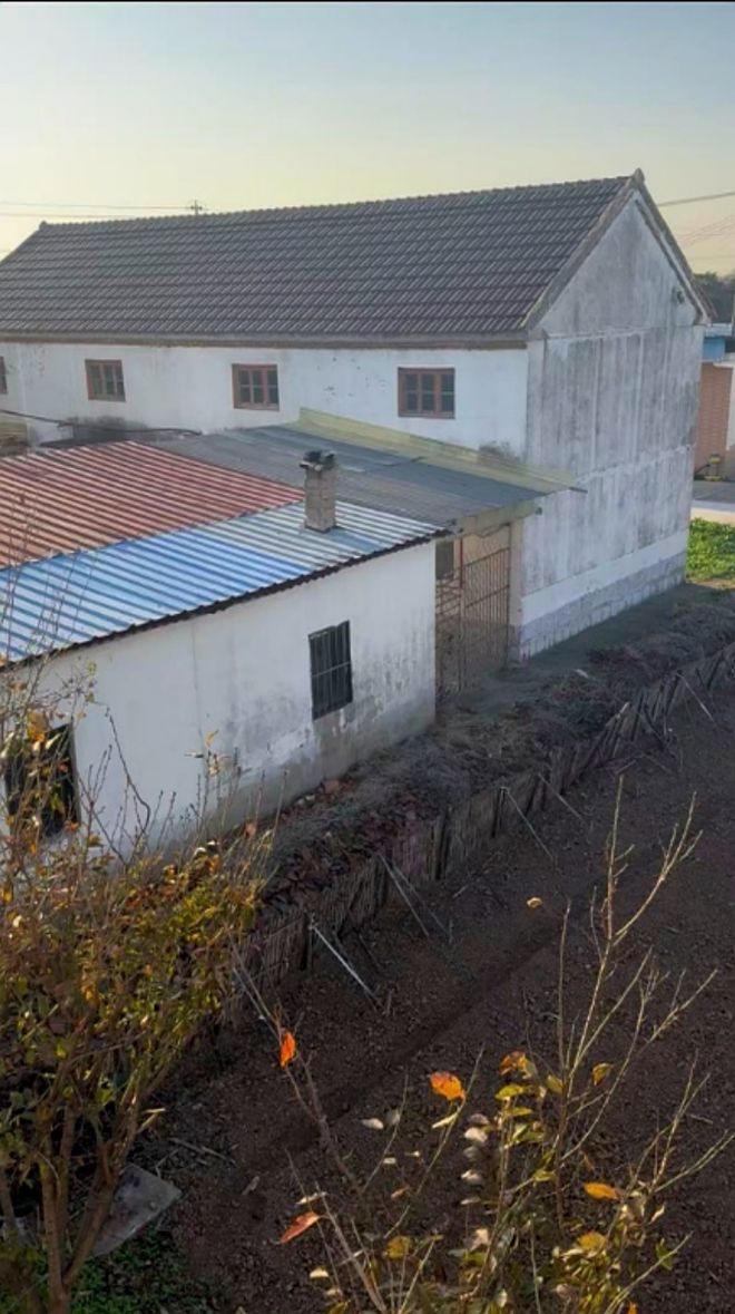 九游体育：高三学生被车辆撞击一年后死亡邻居涉嫌故意杀人一审开庭未判(图2)