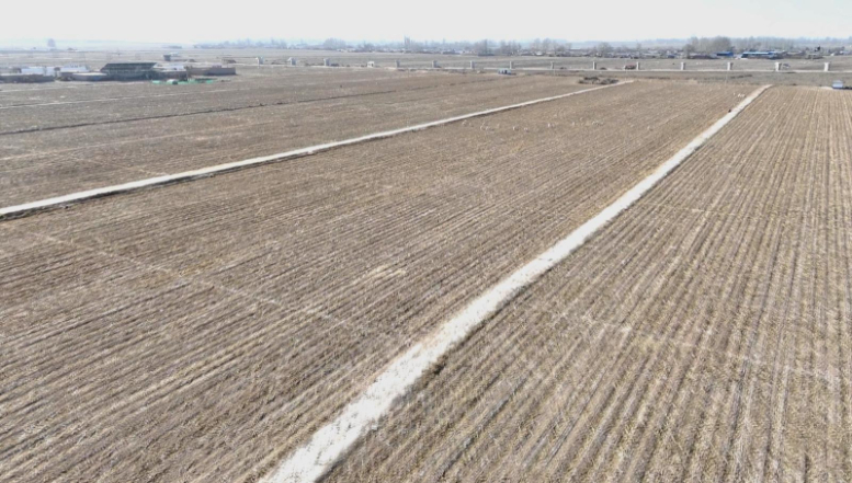 九游体育网站：永昌县水源镇赵沟村民的“幸福账本”：“十四五”见证家乡旧貌换新颜(图2)