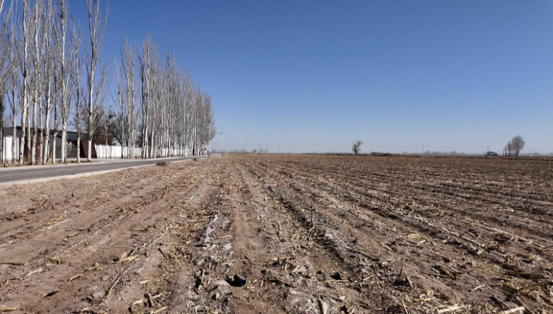 九游体育网站：永昌县水源镇赵沟村民的“幸福账本”：“十四五”见证家乡旧貌换新颜(图3)