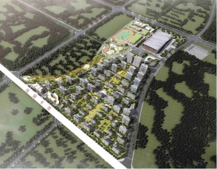 九游体育：合肥新站区楼盘-项目价格解析：文化价值的市场体现(图1)